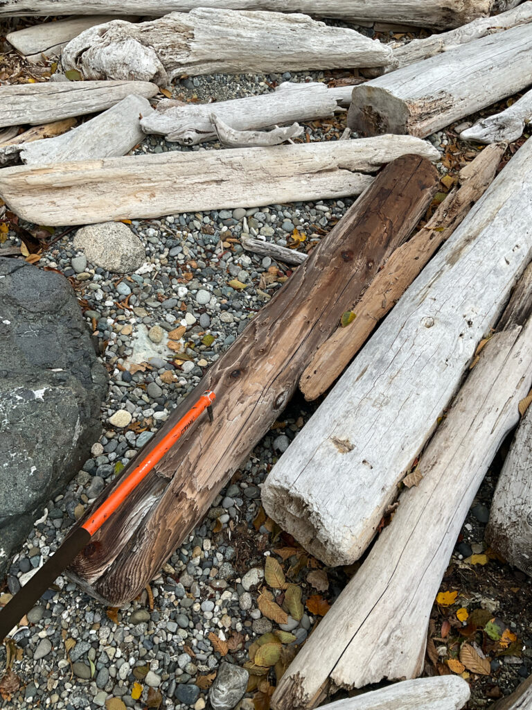 a pile of wood (MyCoast AI)