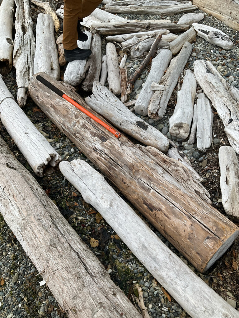 a pile of cut logs (MyCoast AI)
