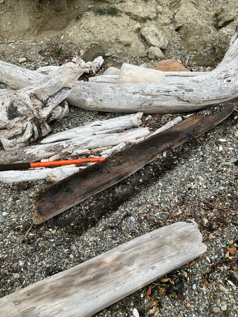 a pile of wood (MyCoast AI)