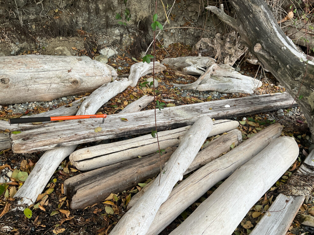 a group of wood pieces (MyCoast AI)