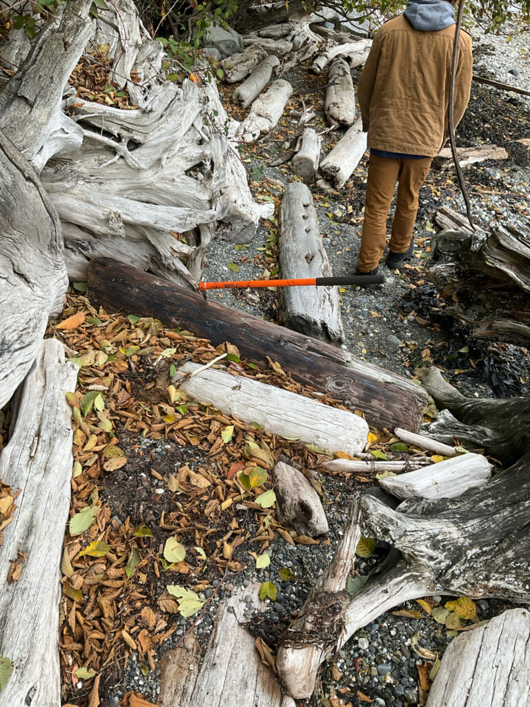 a man with a shovel in a forest (MyCoast AI)