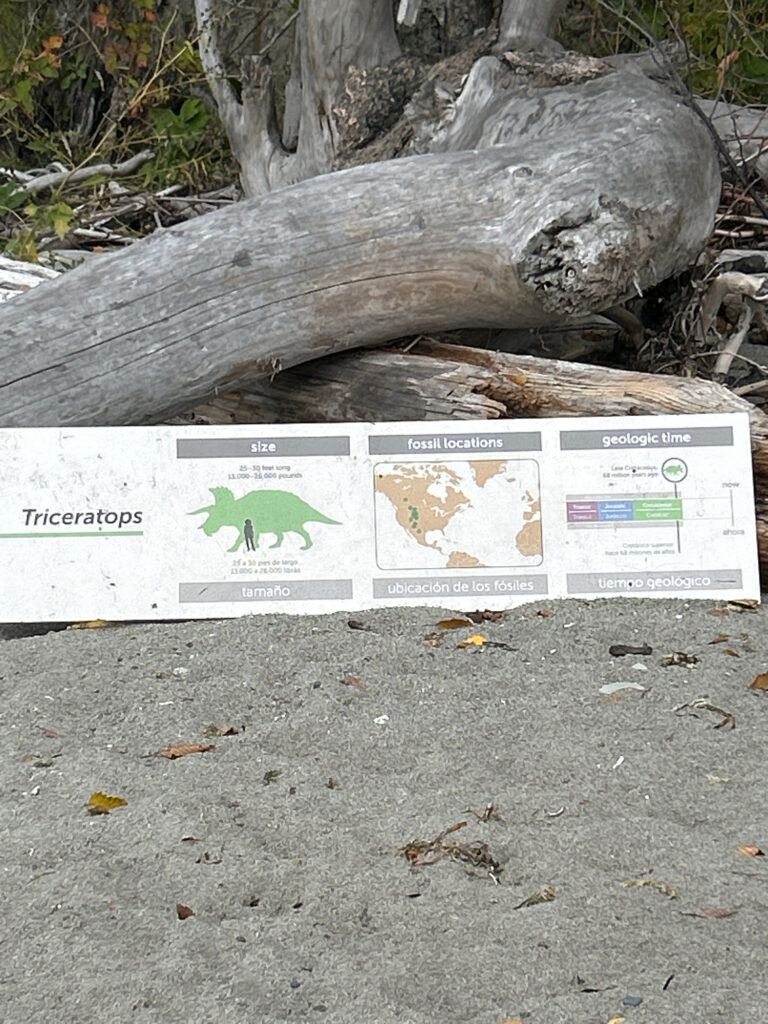 a tree trunk and a sign (MyCoast AI)