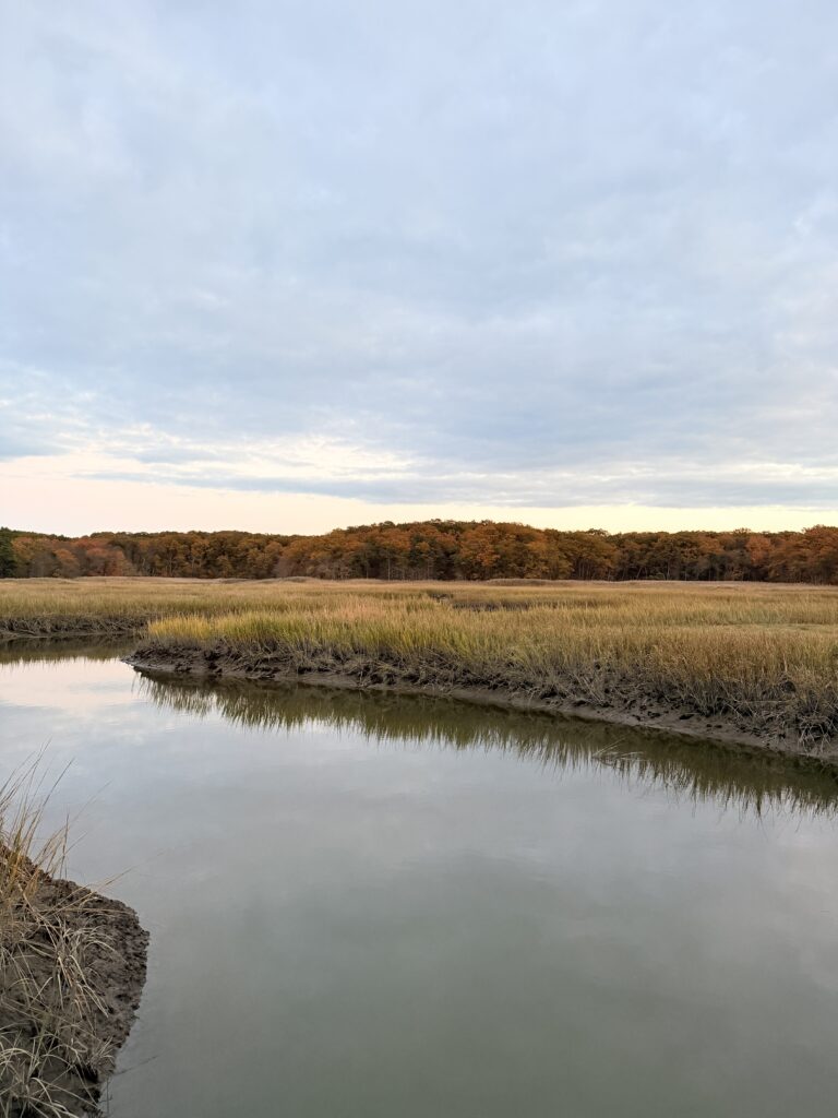 a body of water with grass and trees in the background (MyCoast AI)