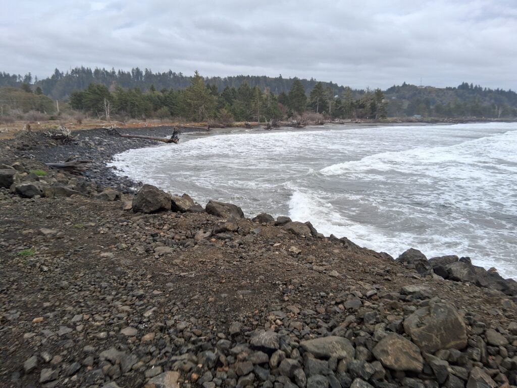 a rocky beach with trees in the background (MyCoast AI)