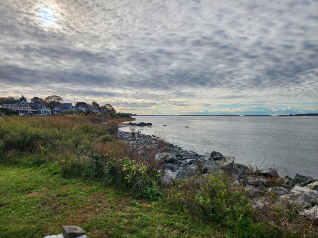 a rocky beach with houses and water (MyCoast AI)