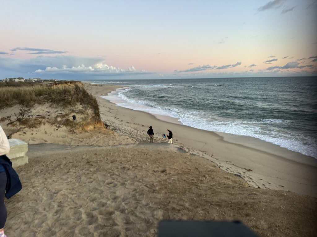 a group of dogs on a beach (MyCoast AI)