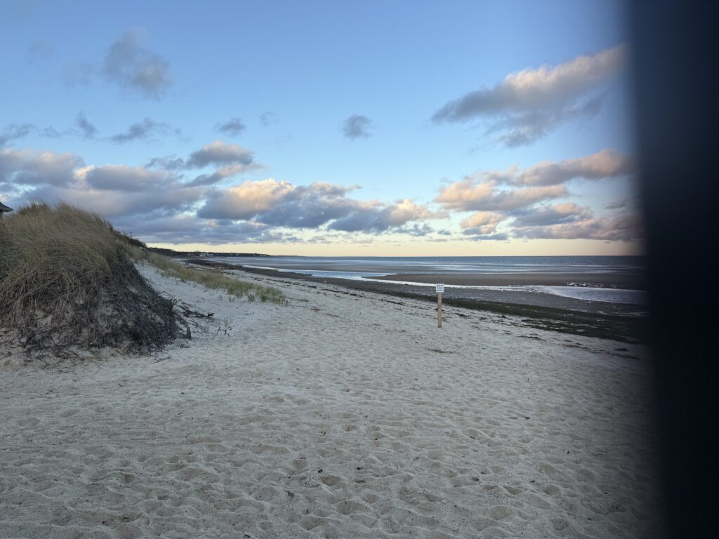 a sandy beach with a body of water in the background (MyCoast AI)