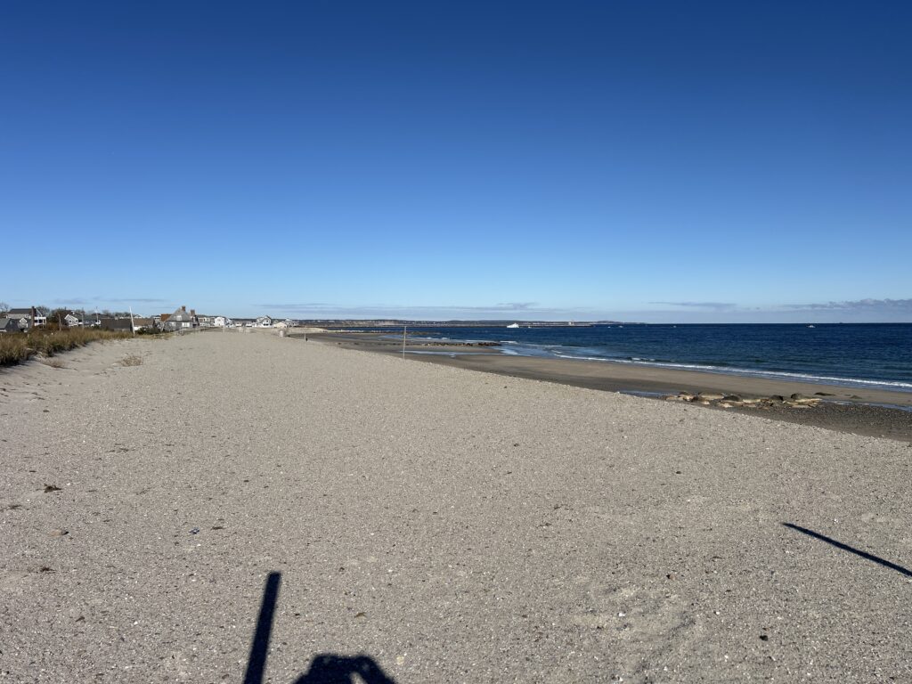 a sandy beach with water and blue sky (MyCoast AI)