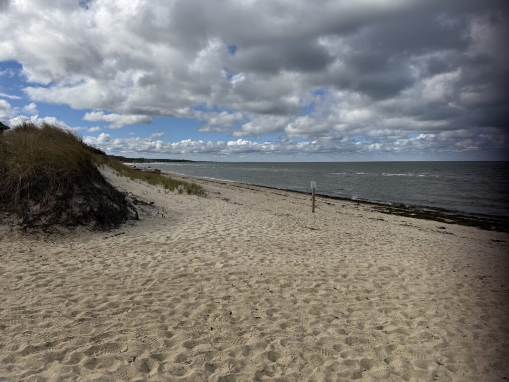 a sandy beach with a fence (MyCoast AI)