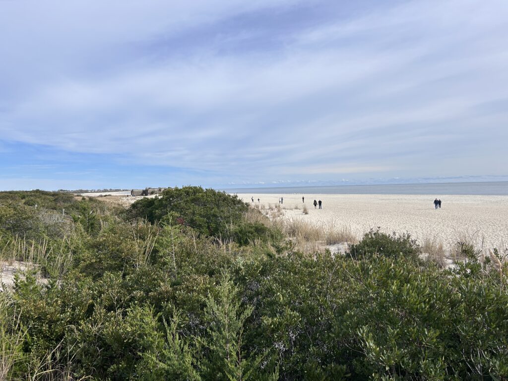 a group of people walking on a beach (MyCoast AI)