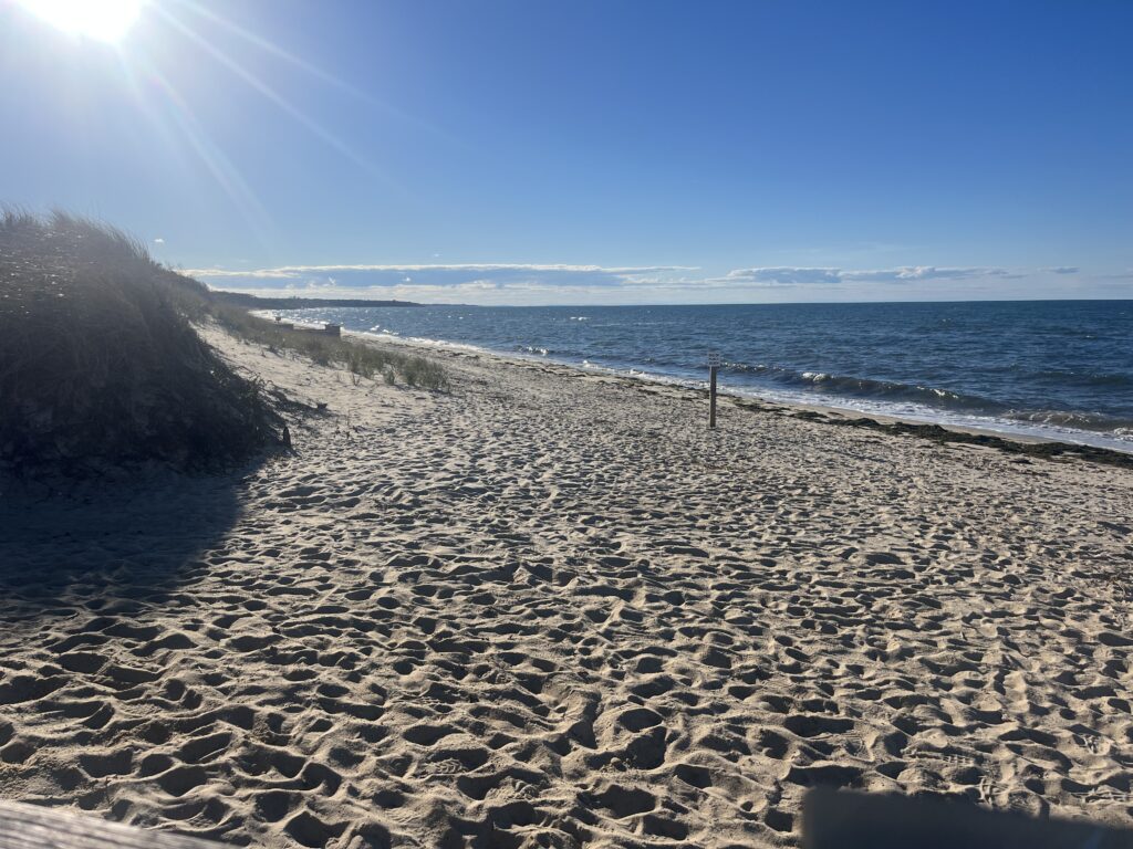 a sandy beach with a body of water in the background (MyCoast AI)