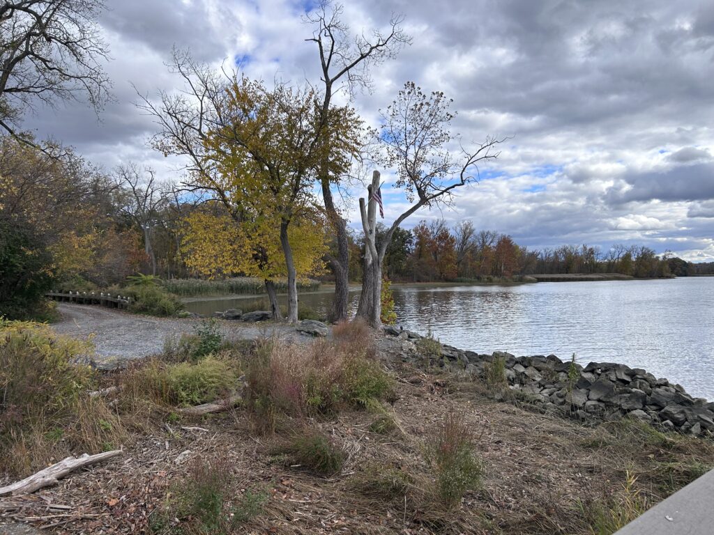 a body of water with trees and grass around it (MyCoast AI)