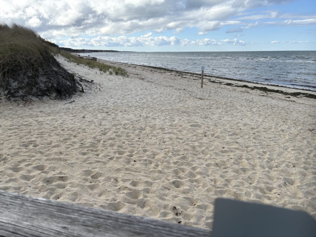 a sandy beach with a fence (MyCoast AI)