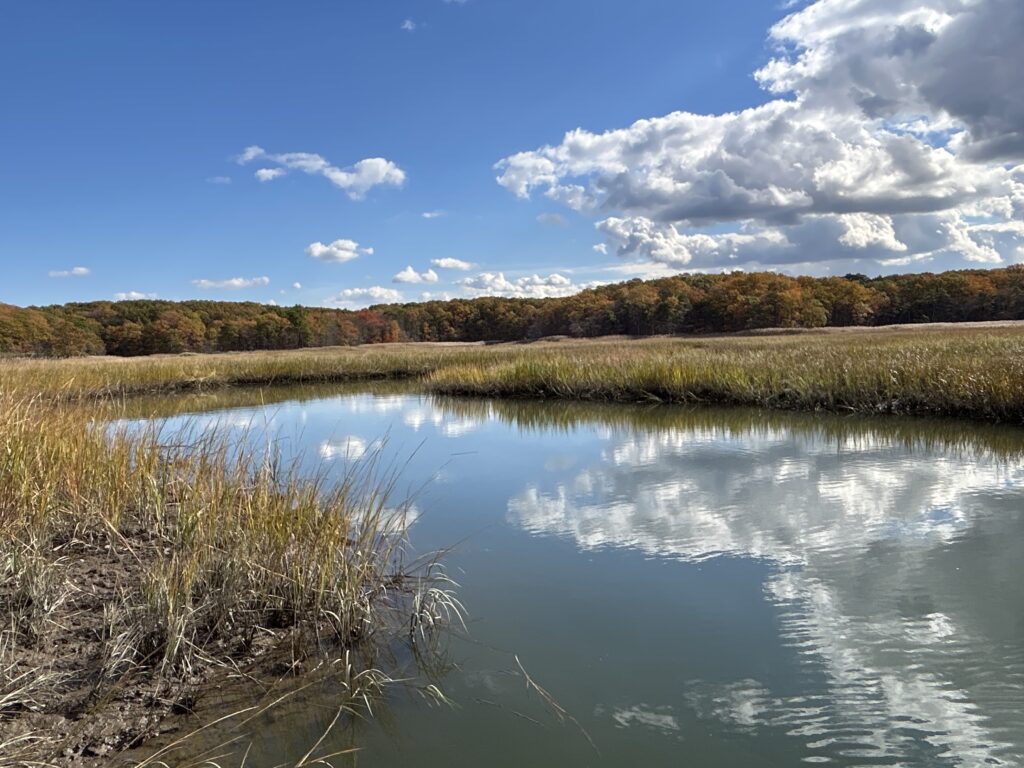 a body of water with grass and trees around it (MyCoast AI)