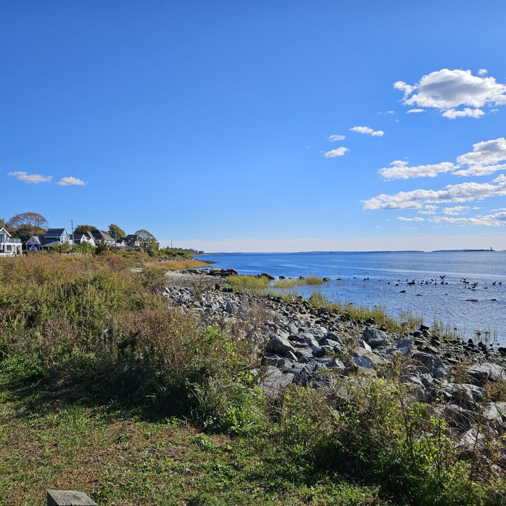 a rocky beach with a body of water in the background (MyCoast AI)