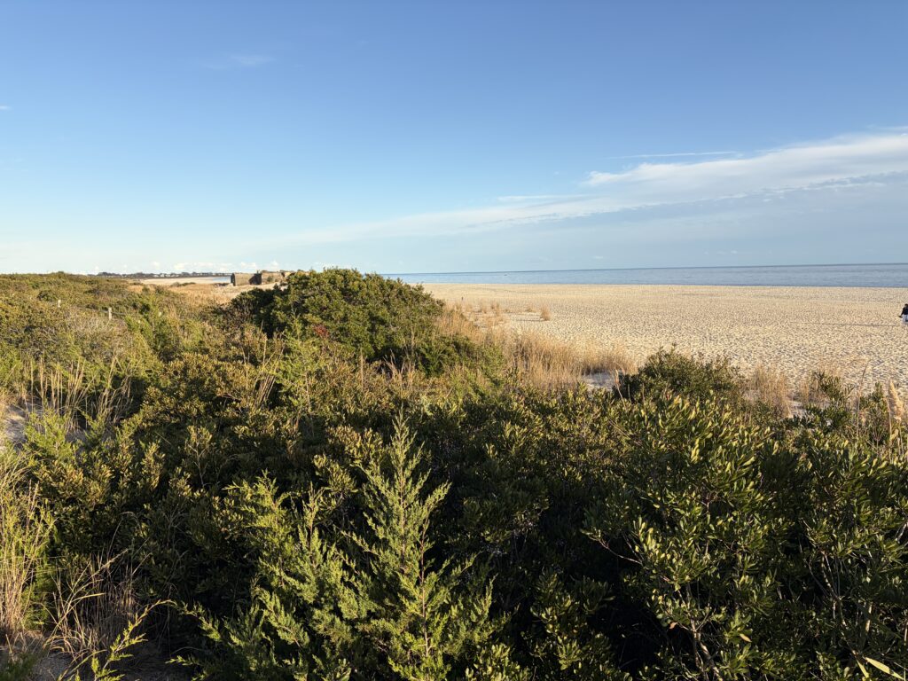 a landscape with bushes and trees (MyCoast AI)