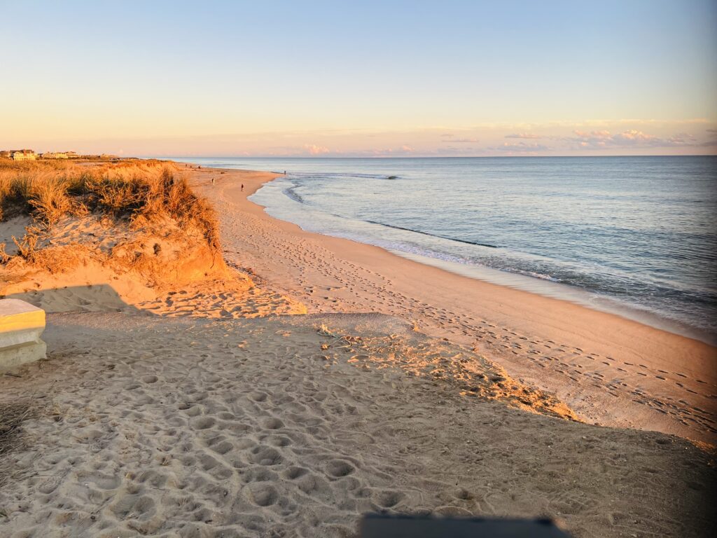 a sandy beach with a body of water in the background (MyCoast AI)