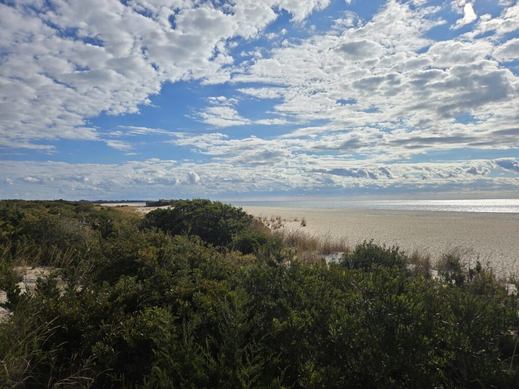 a beach with trees and bushes (MyCoast AI)