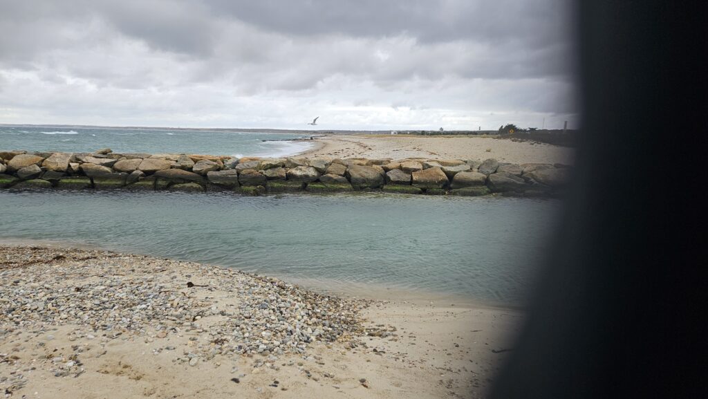 a rocky beach with a body of water in the background (MyCoast AI)