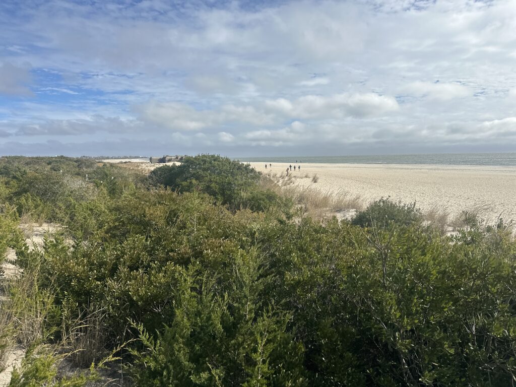 a landscape with trees and bushes (MyCoast AI)