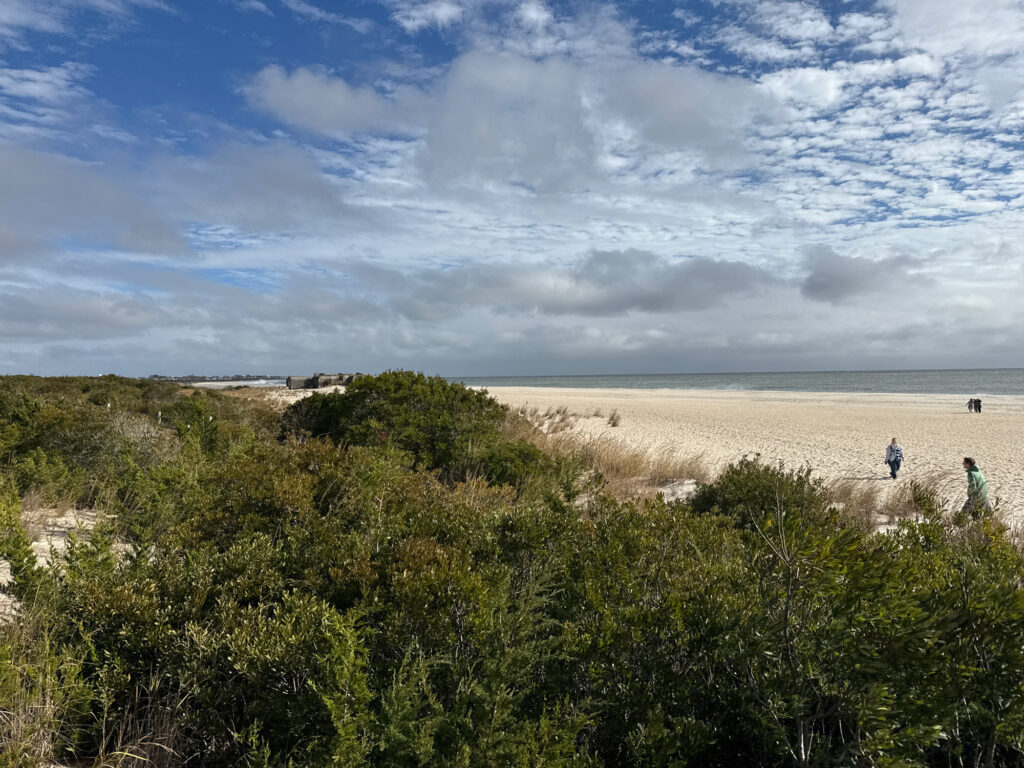 a group of people walking on a beach (MyCoast AI)