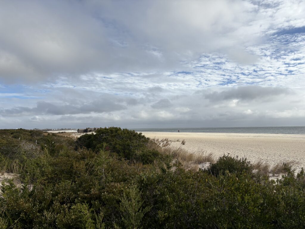 a beach with bushes and trees (MyCoast AI)
