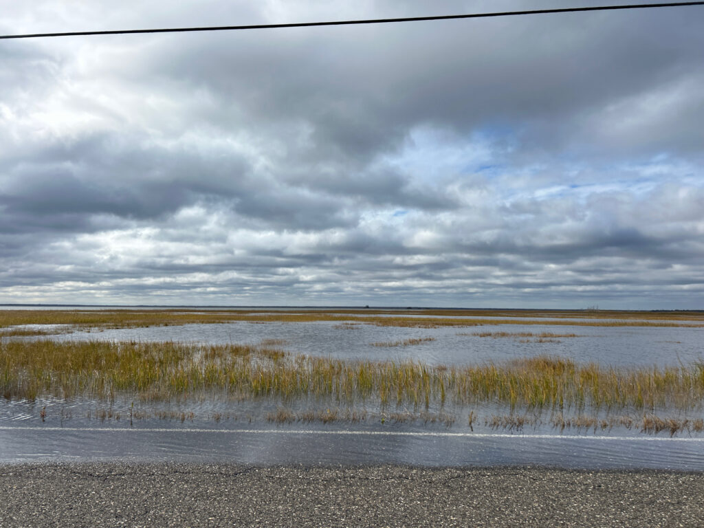 a field of grass and water (MyCoast AI)