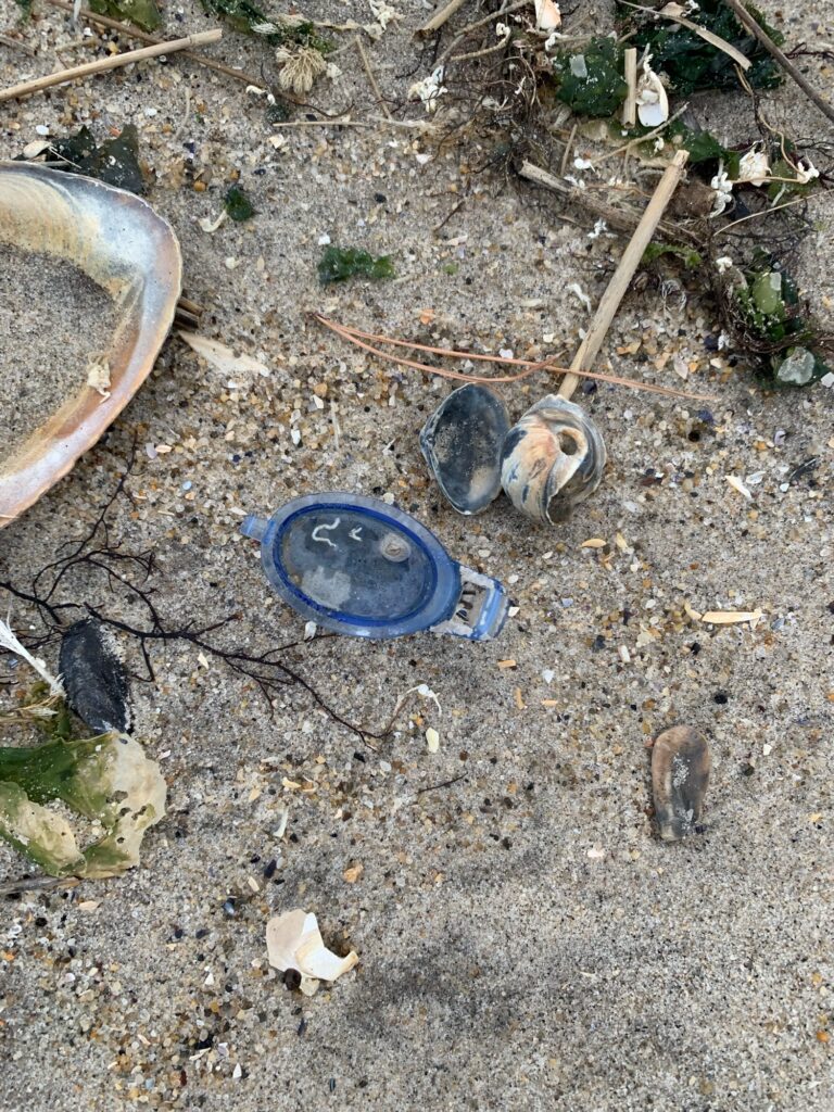 a group of objects on the ground (MyCoast AI)