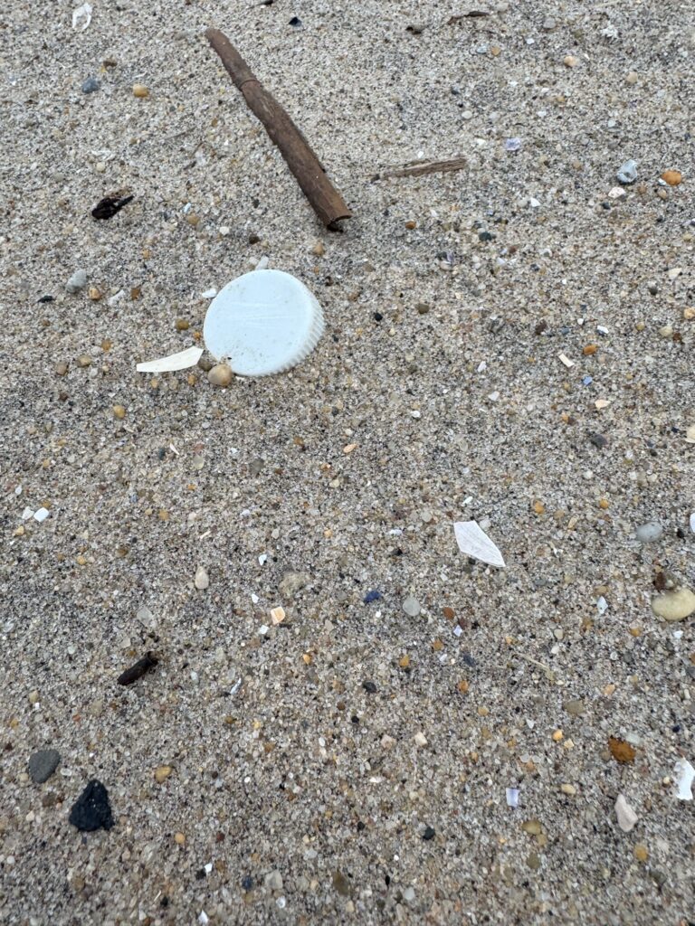 a plate on the ground (MyCoast AI)