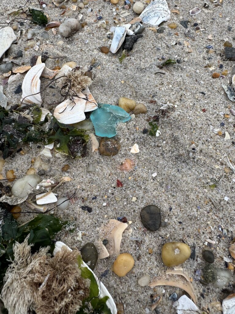 a pile of trash on the ground (MyCoast AI)