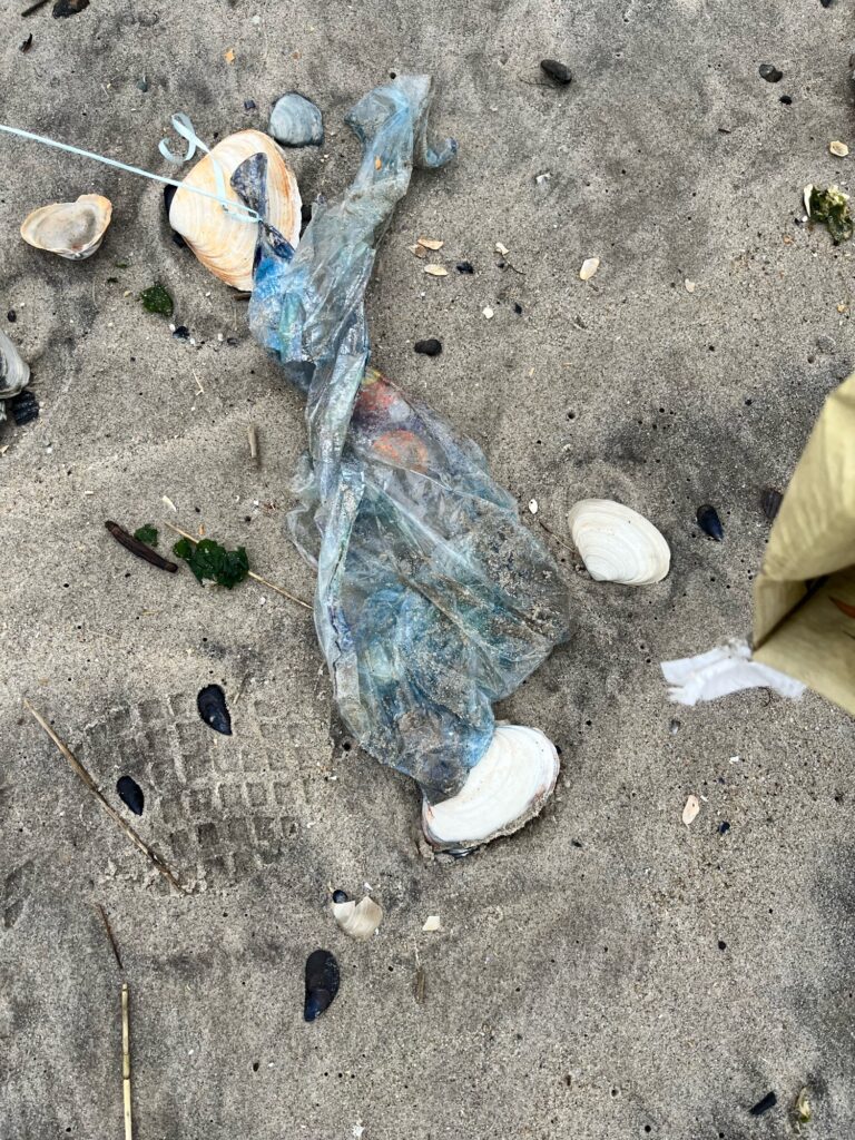 a plastic bag on the ground (MyCoast AI)