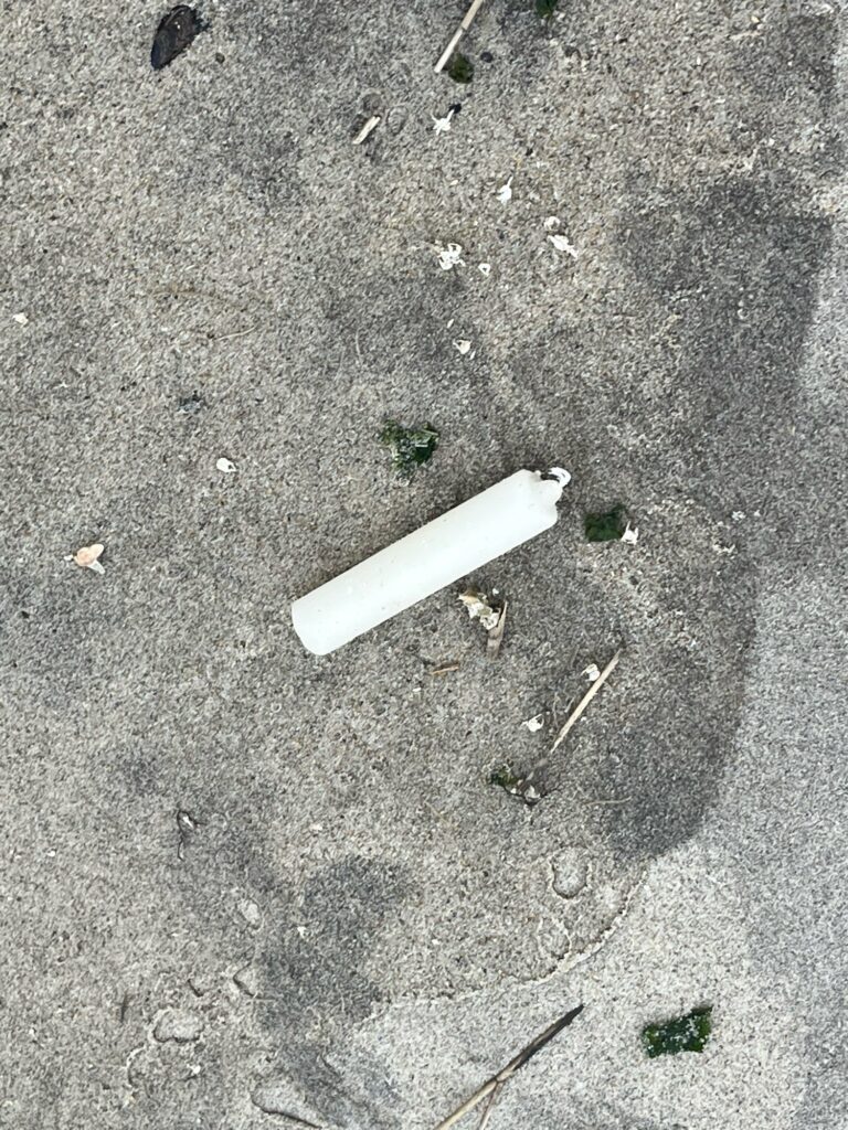 a cigarette on the ground (MyCoast AI)