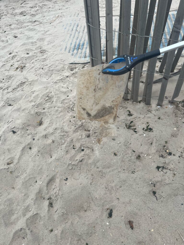 a rock on the ground (MyCoast AI)