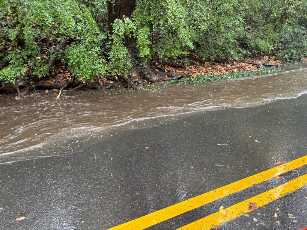 a road with water on the side (MyCoast AI)