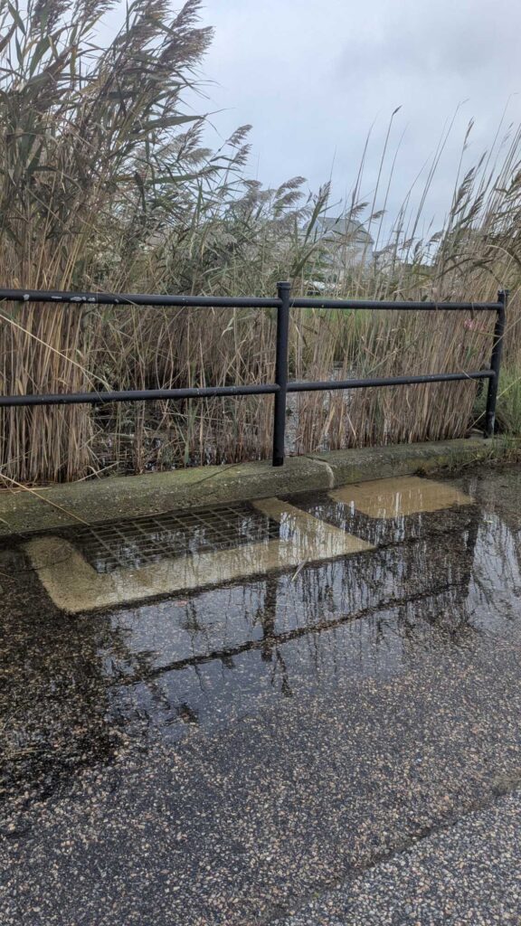 a bridge over a pond (MyCoast AI)
