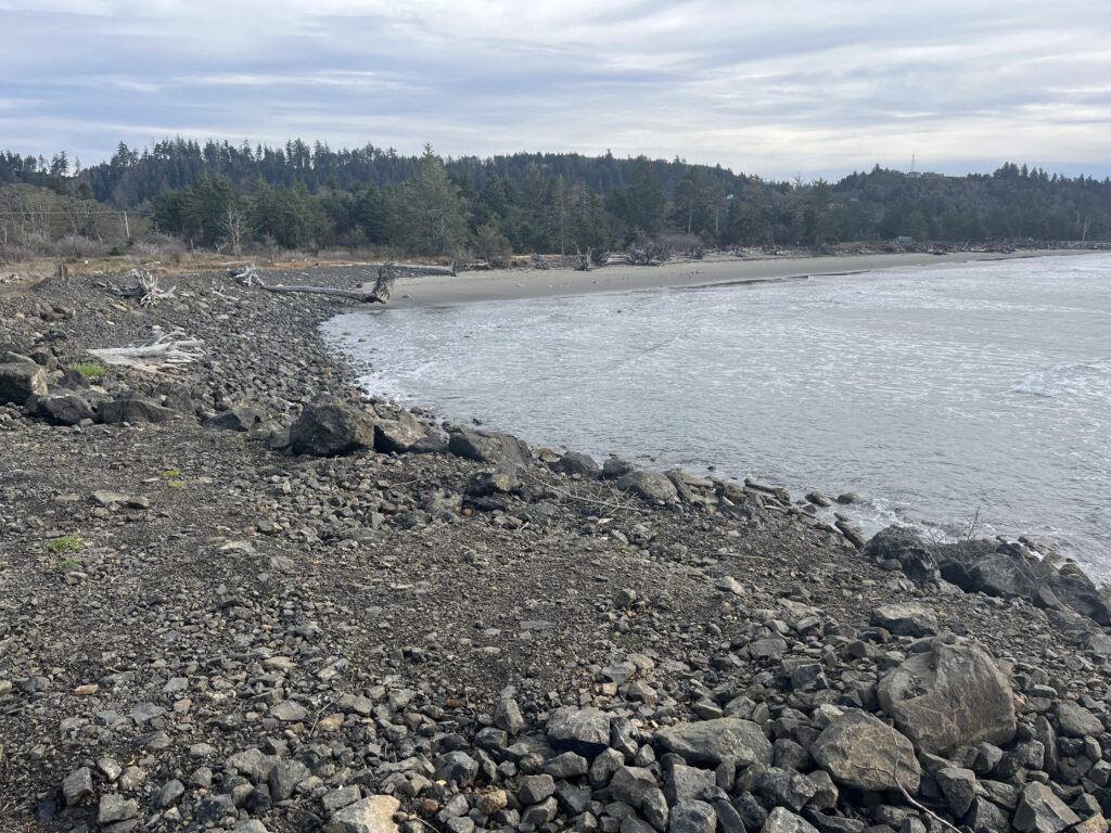 a rocky shore with a body of water and trees in the background (MyCoast AI)
