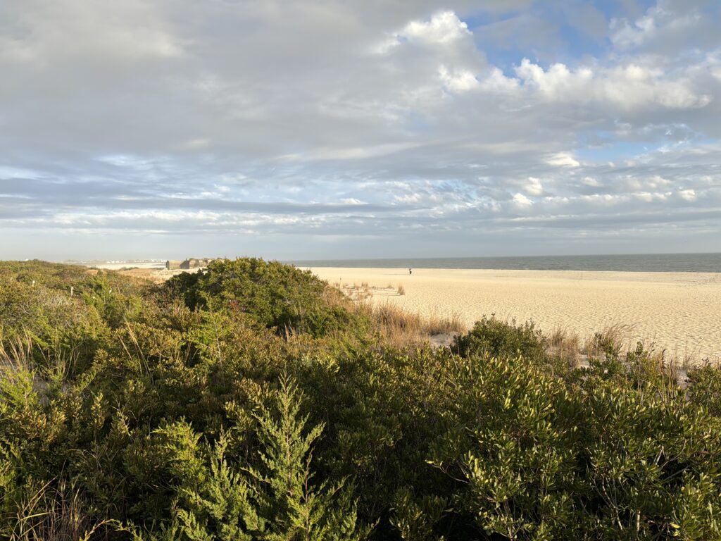 a landscape with trees and bushes (MyCoast AI)