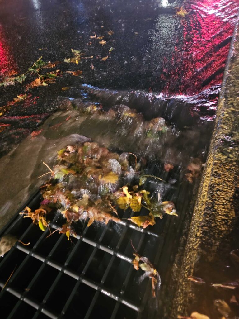 a pile of leaves on a wood surface (MyCoast AI)