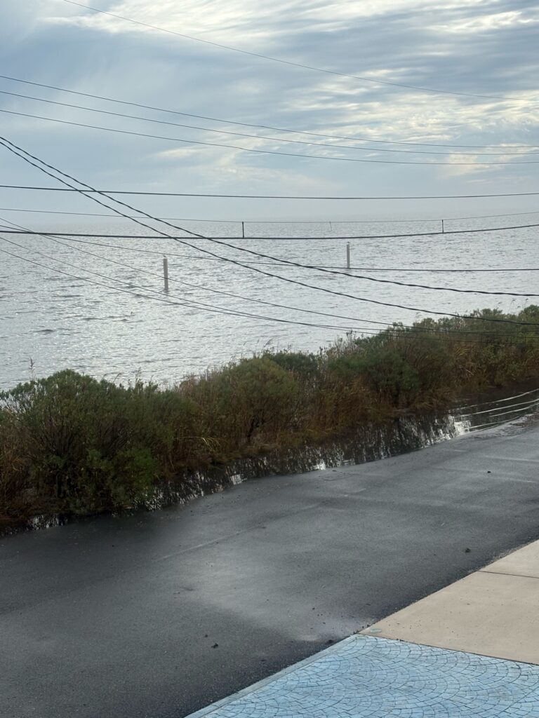 a road with trees and power lines (MyCoast AI)