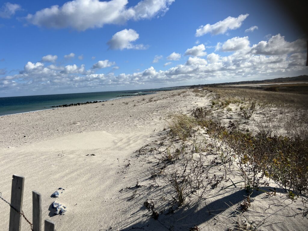 a sandy beach with trees and water (MyCoast AI)