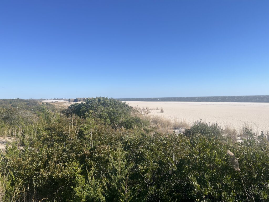 a landscape with trees and bushes (MyCoast AI)