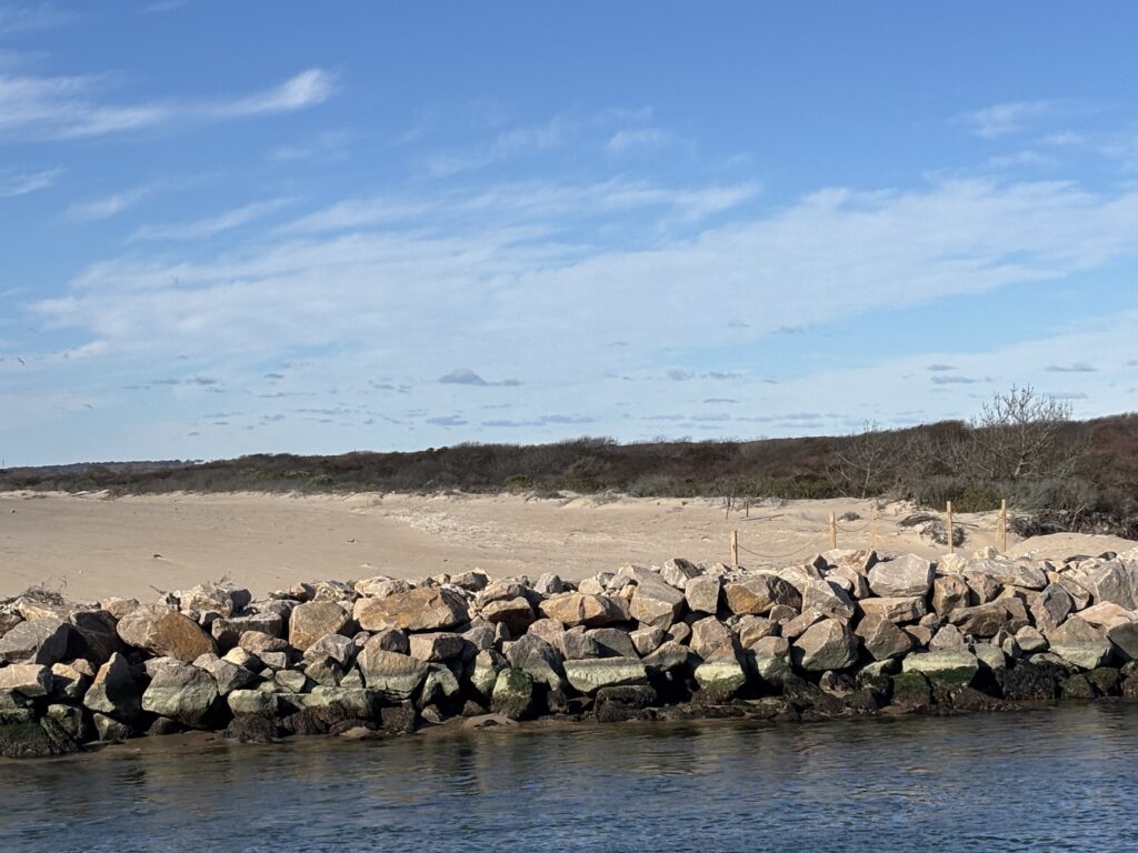 a rocky beach with a body of water in the background (MyCoast AI)