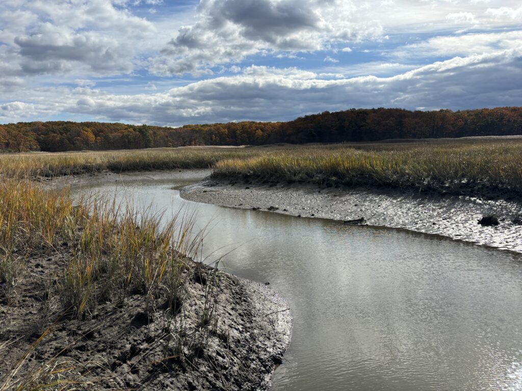 a river with a small waterfall (MyCoast AI)