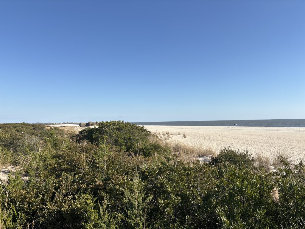 a landscape with bushes and trees (MyCoast AI)