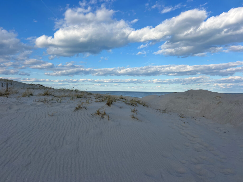 a sandy area with bushes and a cloudy sky (MyCoast AI)