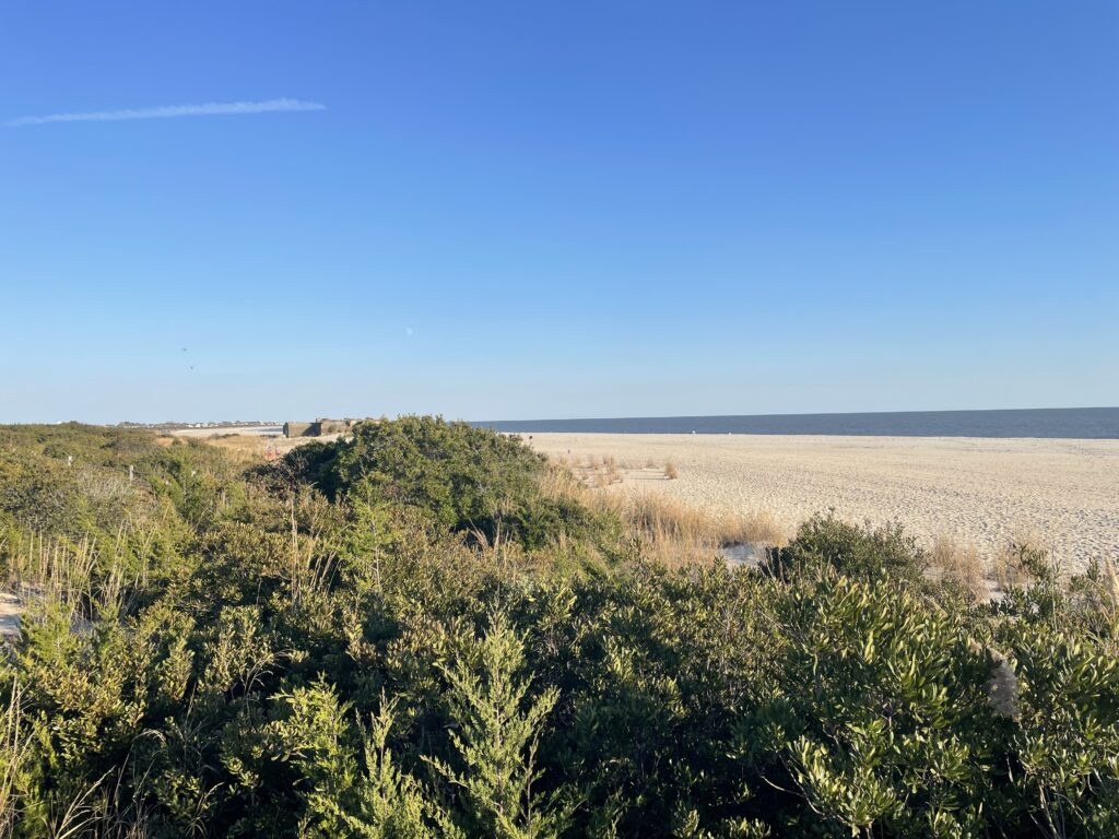 a landscape with trees and bushes (MyCoast AI)