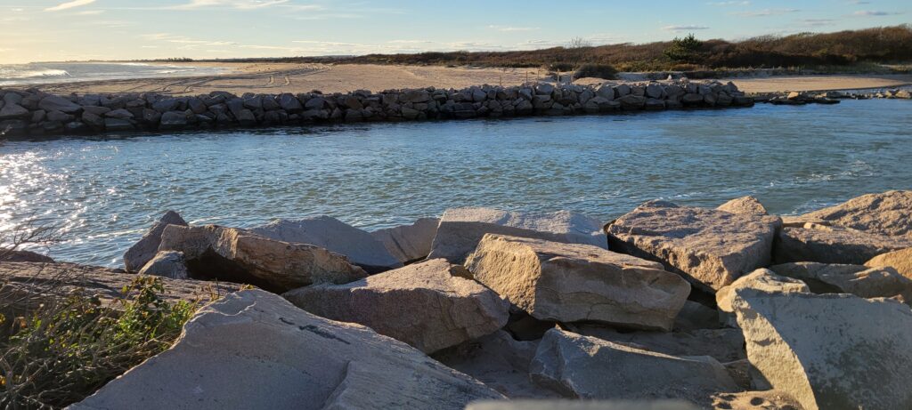 a group of rocks by a body of water (MyCoast AI)