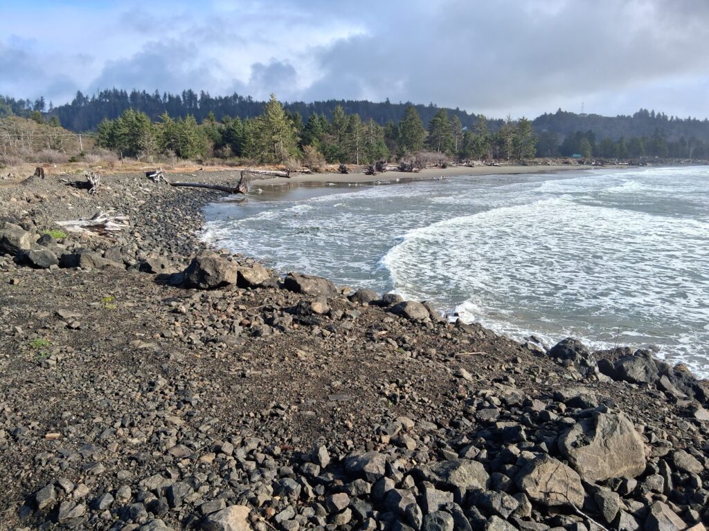 a rocky beach with trees in the background (MyCoast AI)
