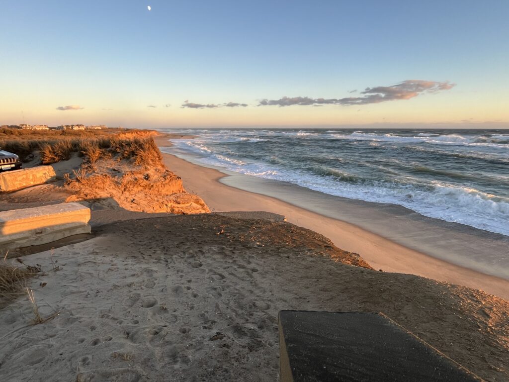 a beach with a body of water (MyCoast AI)