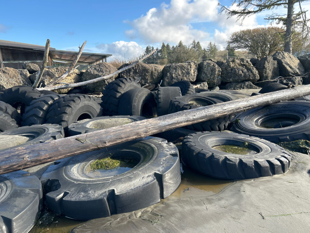 a pile of tires (MyCoast AI)